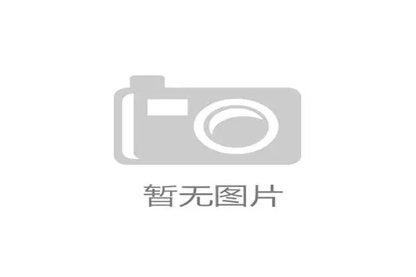南美手球市场发展现状与足球相互促进的双向驱动作用分析 南美手球市场发展现状与足球相互促进的双向驱动作用分析