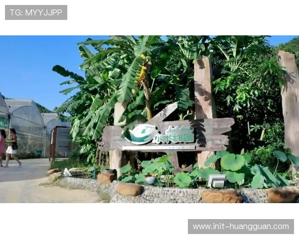 江门体育中心带动餐饮旅游 蓬江区获突出贡献单位